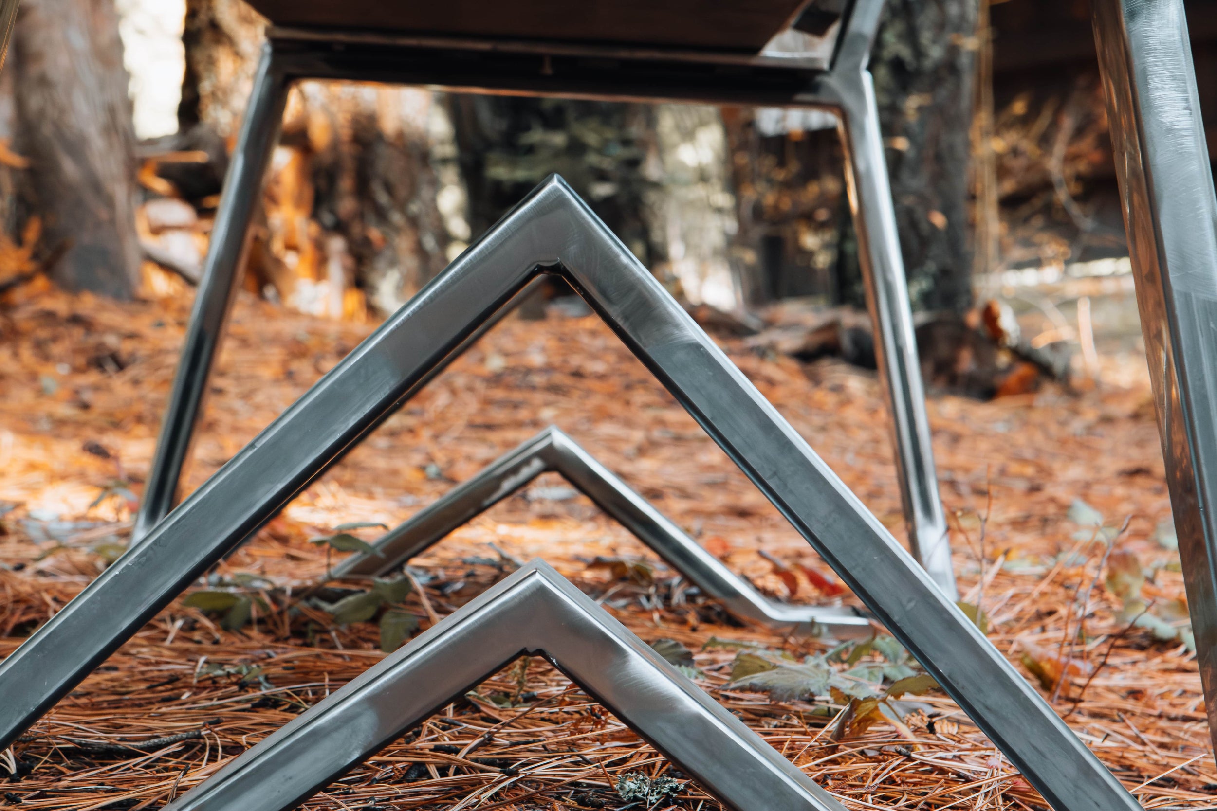 Metal frame structure on a forest floor with trees in the background